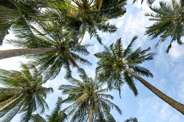 representación legal